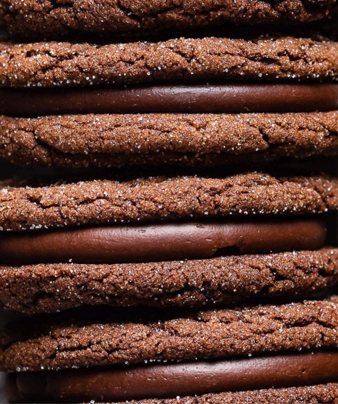 Double Cacao Fudge Cookie SAND +Peptides