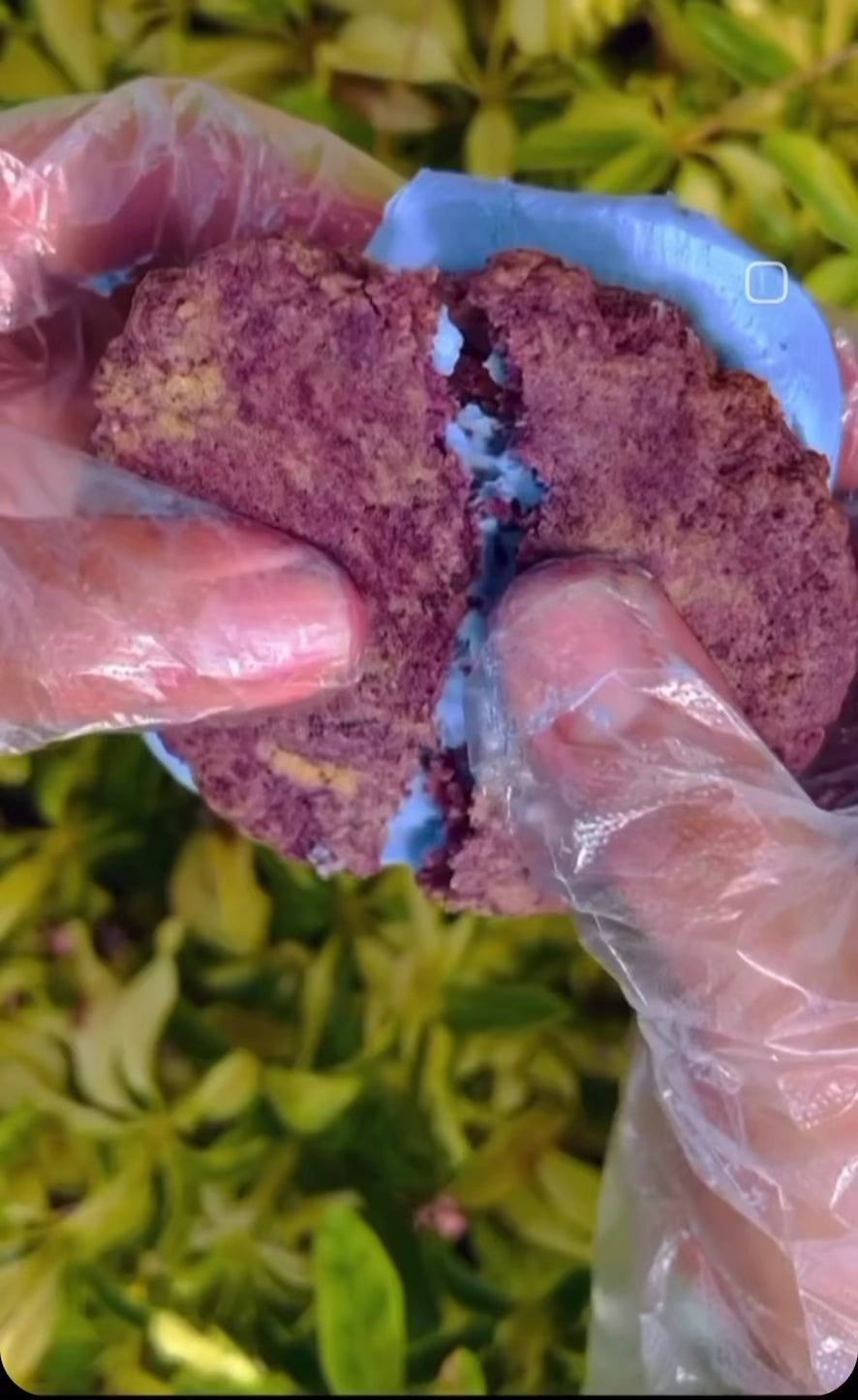 Neptune Ube Spirulina Protein Sandwich